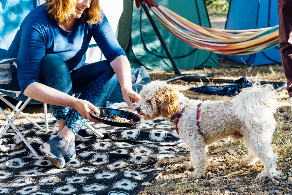 pre trip preparations